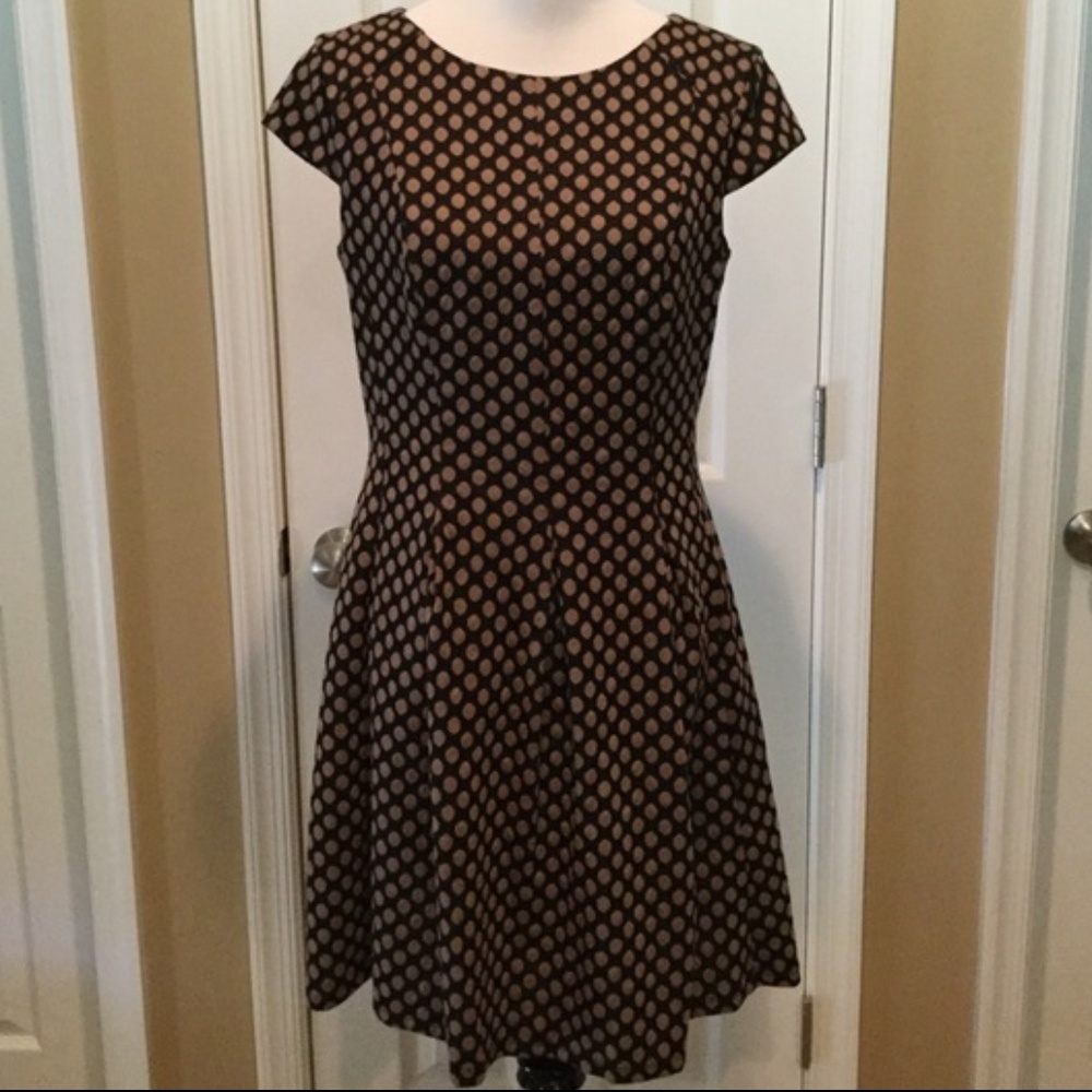 Reposh - dress barn Polka Dot Dress